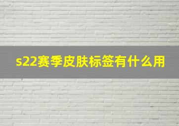 s22赛季皮肤标签有什么用