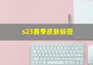 s23赛季皮肤标签