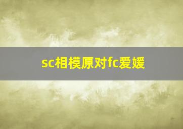 sc相模原对fc爱媛