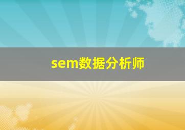 sem数据分析师