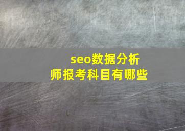 seo数据分析师报考科目有哪些