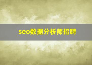 seo数据分析师招聘