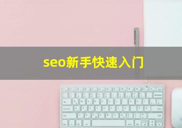 seo新手快速入门