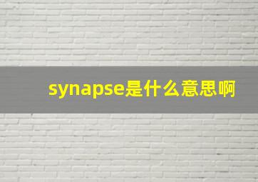 synapse是什么意思啊