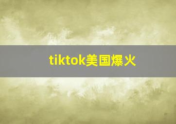 tiktok美国爆火