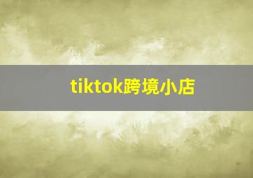 tiktok跨境小店