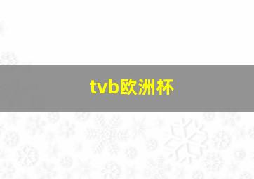 tvb欧洲杯