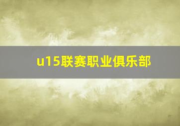 u15联赛职业俱乐部