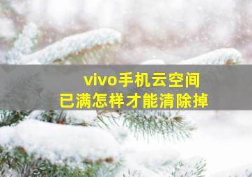 vivo手机云空间已满怎样才能清除掉