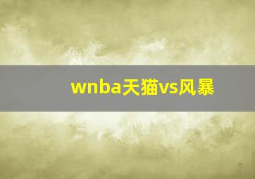 wnba天猫vs风暴