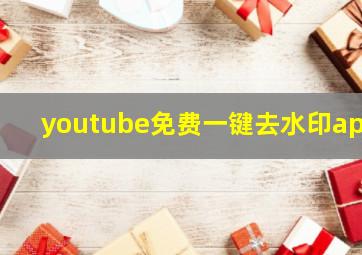 youtube免费一键去水印app