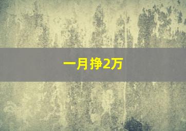 一月挣2万