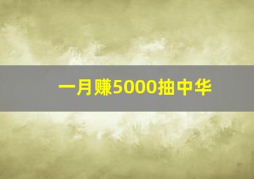 一月赚5000抽中华