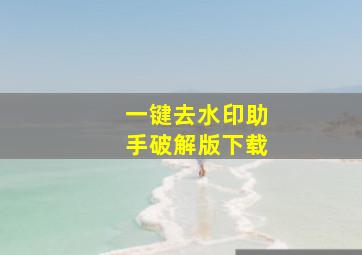 一键去水印助手破解版下载