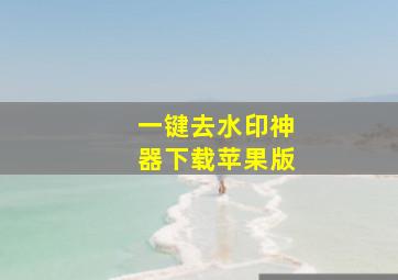 一键去水印神器下载苹果版