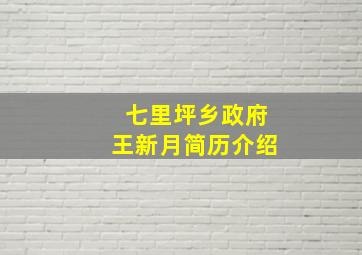 七里坪乡政府王新月简历介绍