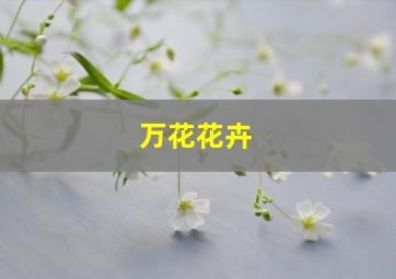 万花花卉