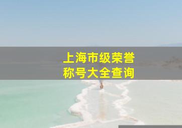 上海市级荣誉称号大全查询