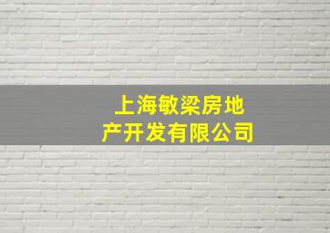 上海敏梁房地产开发有限公司