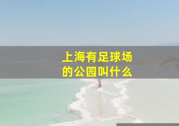 上海有足球场的公园叫什么