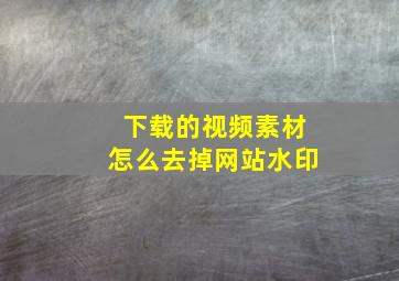 下载的视频素材怎么去掉网站水印