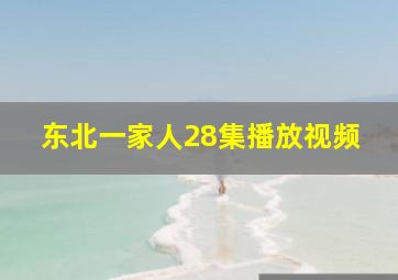 东北一家人28集播放视频