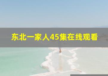 东北一家人45集在线观看