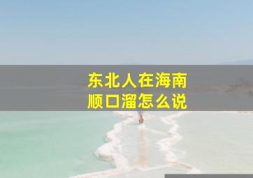 东北人在海南顺口溜怎么说