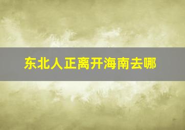 东北人正离开海南去哪