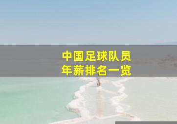 中国足球队员年薪排名一览