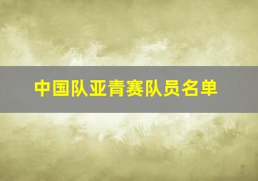 中国队亚青赛队员名单