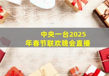 中央一台2025年春节联欢晚会直播