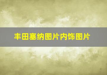 丰田塞纳图片内饰图片