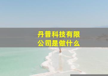 丹普科技有限公司是做什么