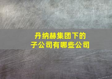 丹纳赫集团下的子公司有哪些公司