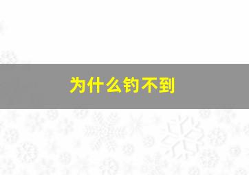 为什么钓不到