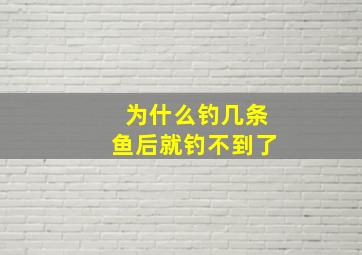 为什么钓几条鱼后就钓不到了