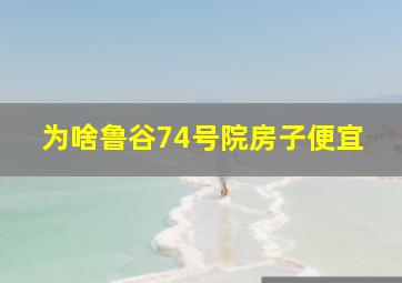 为啥鲁谷74号院房子便宜