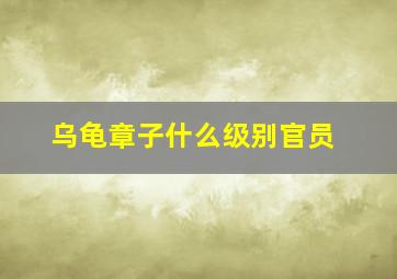 乌龟章子什么级别官员