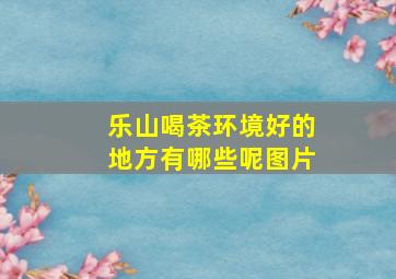 乐山喝茶环境好的地方有哪些呢图片