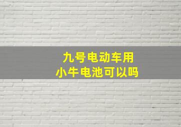 九号电动车用小牛电池可以吗