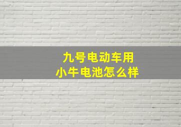 九号电动车用小牛电池怎么样