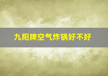 九阳牌空气炸锅好不好