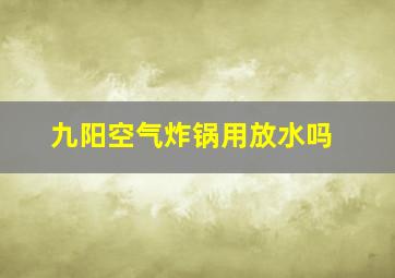 九阳空气炸锅用放水吗