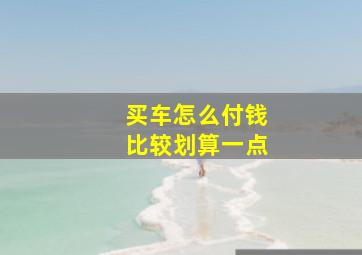 买车怎么付钱比较划算一点