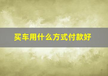 买车用什么方式付款好