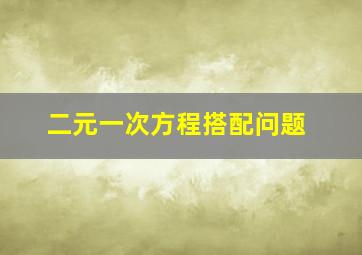 二元一次方程搭配问题