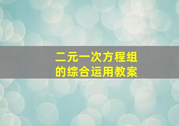 二元一次方程组的综合运用教案