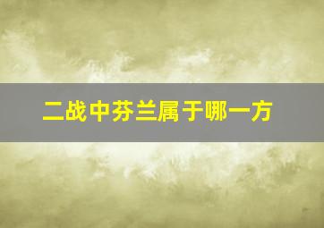 二战中芬兰属于哪一方