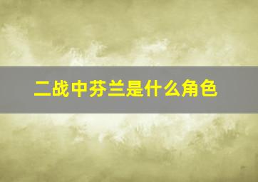 二战中芬兰是什么角色